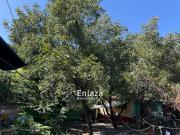 Terreno en Venta Centro San Pedro