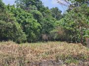 Terreno en venta cerca de carretera villahermosa a cardenas