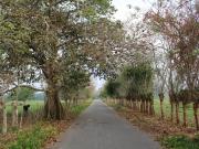 Terreno en venta cerca del aeropuerto internacional de... Terreno en venta cerca del aeropuerto internacional de...