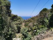 TERRENO EN VENTA CERCA DEL POBLADO DE PLATANITOS, NAY