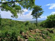 Terreno en Venta Chapala