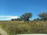 Terreno en Venta Cholula, Puebla