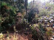 TERRENO EN VENTA / CIRCUITO AVANDARO