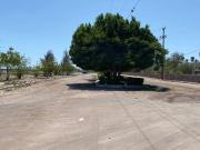 Terreno en venta Ciudad Constitución, Baja California Sur
