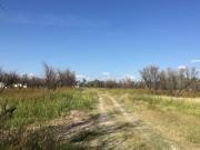 Terreno en venta Ciudad de los Olivos 4