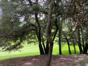 Terreno en Venta Club de Golf Chiluca