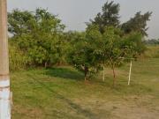 TERRENO EN VENTA COL DEL PARQUE, CIUDAD MADERO, INF 833...