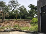 TERRENO EN VENTA COL GUADALUPE VICTORIA, POZA RICA, VERACRUZ