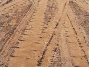 TERRENO EN VENTA – COL. JOSE LOPEZ PORTILLO, MARTINEZ DE...