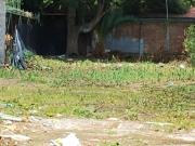 Terreno en Venta Col, Ju?rez Morelia frente a la...