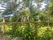 TERRENO EN VENTA COL REVOLUCION VERDE, POZA RICA