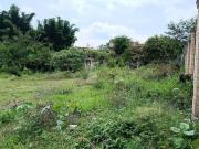 Terreno en Venta Col Vicente Guerrero Cocoyoc Yautepec...