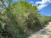 TERRENO EN VENTA COLA DE CABALLO, SANTIAGO NUEVO LEÓN NV