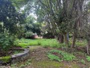 Terreno en venta Colonia Lomas de Cortes, zona norte de...