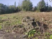 Terreno en venta con 0 m2, en Cicero Bárcena de Cicero