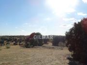Terreno en venta con 0 m2, en Distrito Municipal II sin...