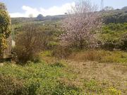 Terreno en venta con 0 m2, en El Sauzal, Salto del gato