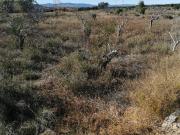 Terreno en venta con 0 m2, en Riba Roja de Túria, RIBA...