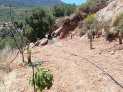 Terreno en venta con 10000 m2, en El Pinar