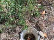 Terreno en venta con 1100 m2, en Vidreres