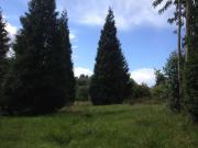 Terreno en venta con 1272 m2, en San Pedro de Nós Oleiros