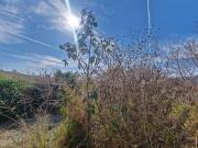 TERRENO EN VENTA CON 1399 M2 EN OAXTEPEC CENTRO