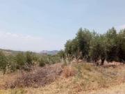 Terreno en venta con 1 m2, en Albolote