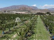 Terreno en venta con 36 m2, en Monforte del Cid, ESPEJERAS