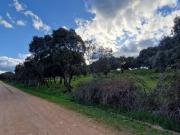 Terreno en venta con 38155 m2, en Ciudad Rodrigo