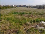 Terreno en venta con 48000 m2, en El Verger