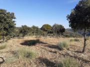 Terreno en venta con 4825 m2, en Navas del Rey