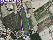 Terreno en venta con 6820 m2, en Villena