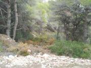 Terreno en venta con 700 m2, en Gandía