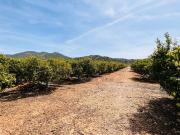 Terreno en venta con 0 m2, en Alcossebre Alcalà de...