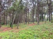 Terreno en Venta con Caballeriza en Umecuaro, Michoacán