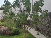 TERRENO EN VENTA con INFONAVIT SENDEROS MONTE VERDE LOTE...