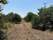 Terreno en Venta con uso de suelo Comercial /...