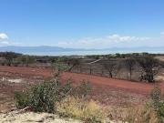TERRENO EN VENTA CON VISTA AL LAGO DE CHAPALA EN TUXCUECA
