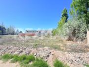 TERRENO EN VENTA CONFLUENCIA RURAL NEUQUEN 500 M2 TERRENO EN VENTA CONFLUENCIA RURAL NEUQUEN 500 M2