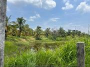 Terreno en Venta Congregacion Sabanillas, Tuxpan, Ver