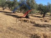 Terreno en venta Cuacos de Yuste