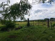 Terreno en Venta, Cuautla, 8,423 m2