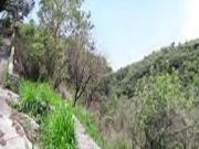 Terreno en Venta, Cuernavaca, Morelos