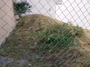 Terreno en Venta Cumbres Elite