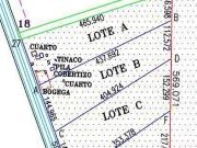 TERRENO EN VENTA DE 10 HECTAREAS INDUSTRIAL CARRETERA...