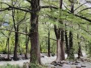 Terreno en venta de 1255 metros Fraccionamiento...