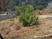 TERRENO EN VENTA DE 250 M2, COL. ZACAPA, SANTA CECILIA...