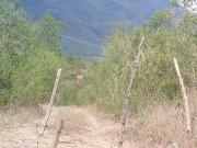 Terreno en venta de 27 hectareas Campestre o Industrial...