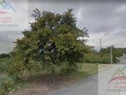 TERRENO EN VENTA DE 3.16 HECTÁREAS INDUSTRIAL El CARMEN...