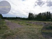Terreno en VENTA de 3.1 Hectáreas